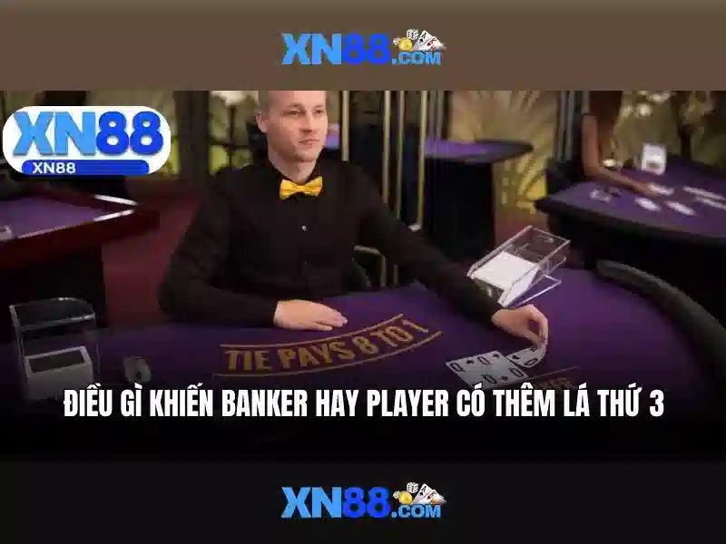 Giới thiệu về xn88 Giới thiệu về xn88