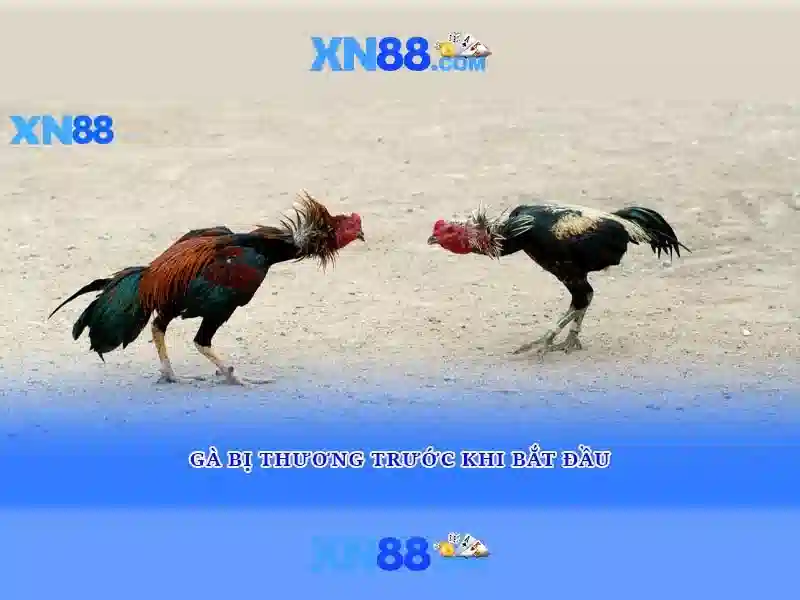 Giới thiệu về xn88 Giới thiệu về xn88