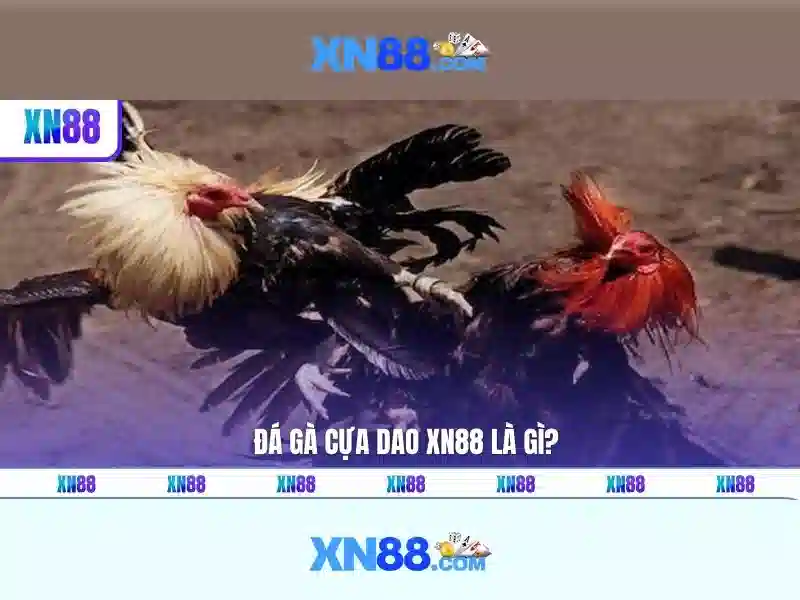 Giao diện người dùng và trải nghiệm Giao diện người dùng và trải nghiệm