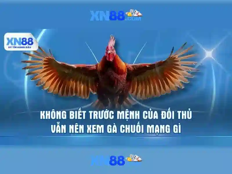 Khuyến mãi và đăng ký Khuyến mãi và đăng ký