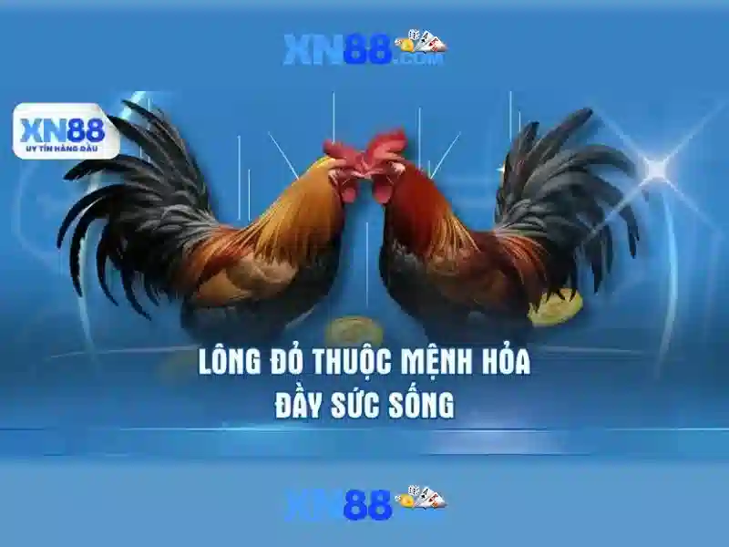 Mẹo chơi bắn cá 3 cây dễ ăn tiền nhà cái