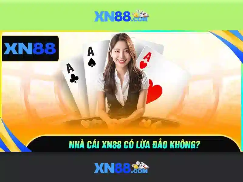 Lĩnh vực hoạt động của xn88 Lĩnh vực hoạt động của xn88