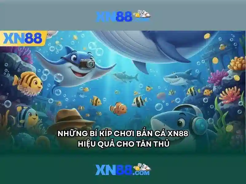 Các tính năng chính của xn88 Các tính năng chính của xn88
