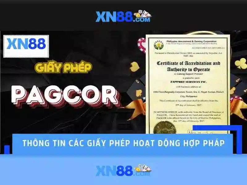 xn88: một cái nhìn tổng quan và ảnh hưởng của nó
