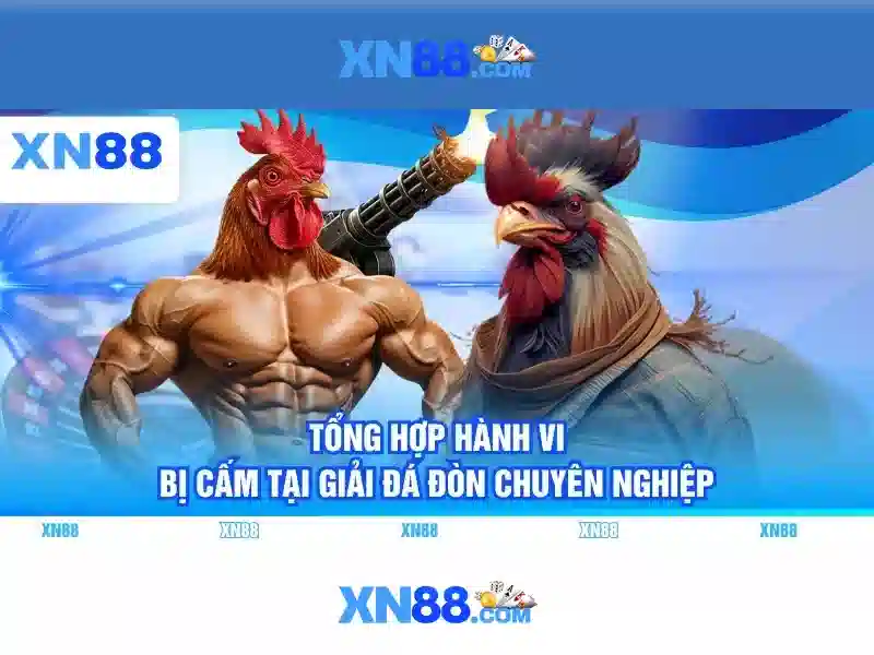 Các sản phẩm và dịch vụ của xn88 Các sản phẩm và dịch vụ của xn88