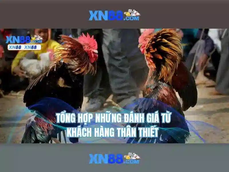 Khuyến mãi và thanh toán Khuyến mãi và thanh toán