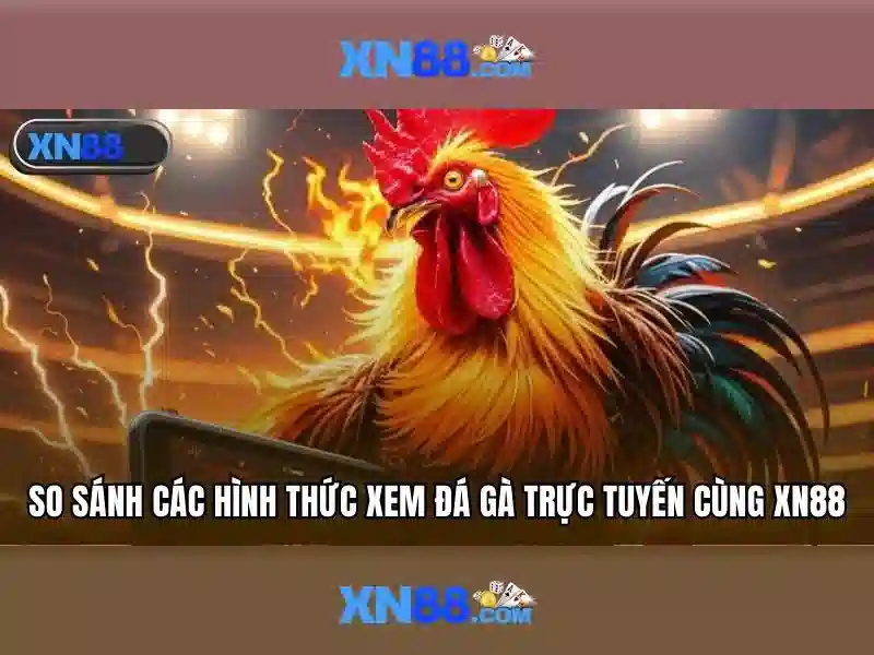 Xn88: Nền tảng cá cược trực tuyến phổ biến Xn88: Nền tảng cá cược trực tuyến phổ biến