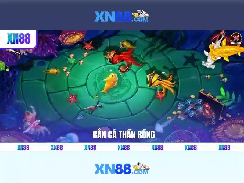 Trải nghiệm người dùng và hỗ trợ