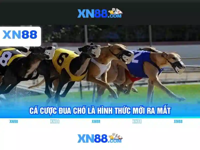 Hỗ trợ khách hàng và thanh toán Hỗ trợ khách hàng và thanh toán