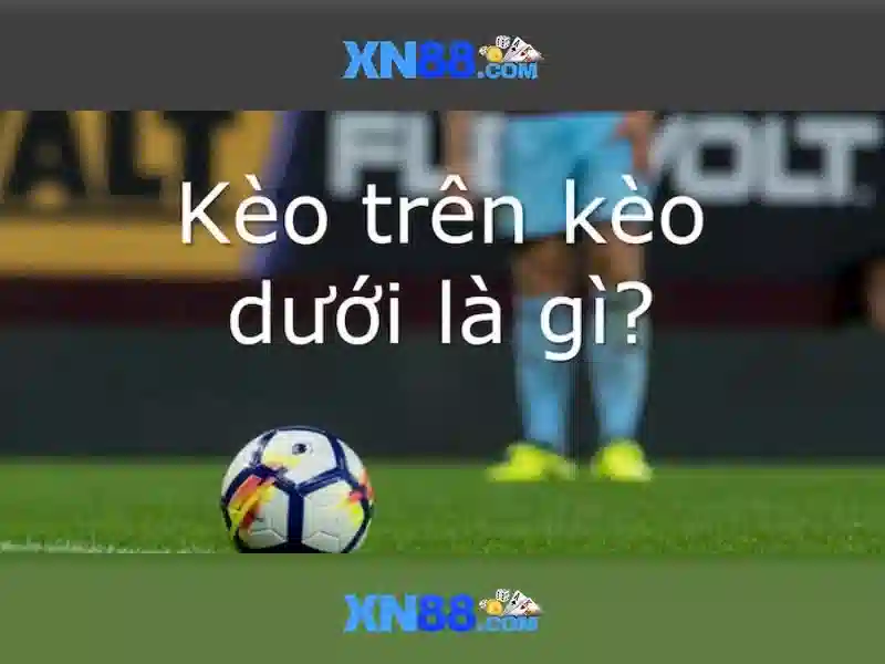 Xn88: tổng quan và các đặc điểm