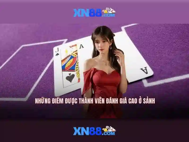 Giới thiệu về xn88
