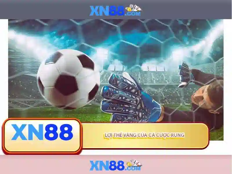 Kết luận và tương lai Kết luận và tương lai