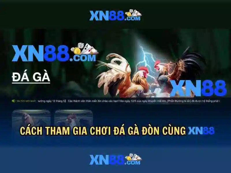 xn88: Tổng quan về nền tảng trò chơi trực tuyến