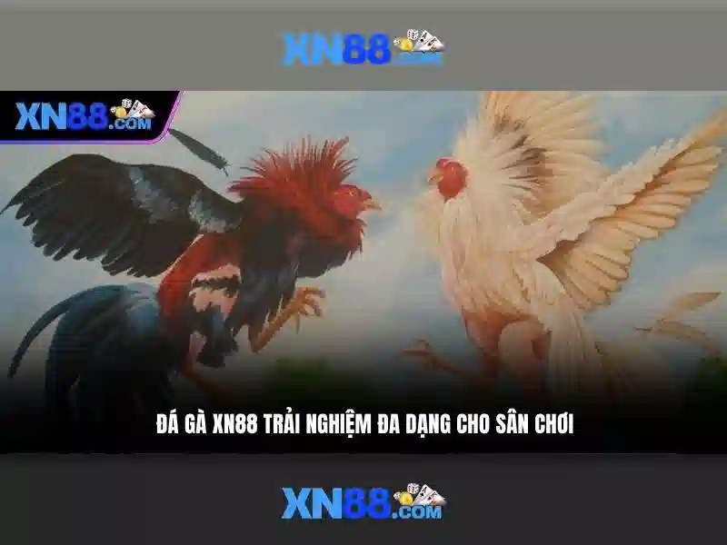 Vấn đề an toàn và pháp lý