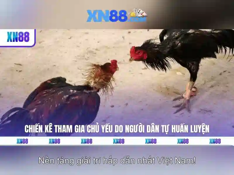 xn88-xn88 – Định hình tương lai số và trải nghiệm toàn diện