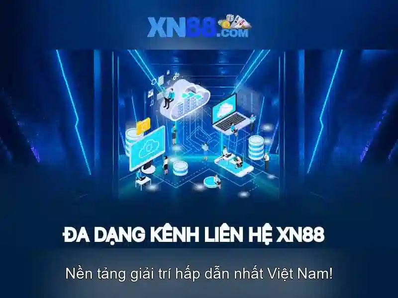 Nền tảng và chất lượng tổng thể Nền tảng và chất lượng tổng thể