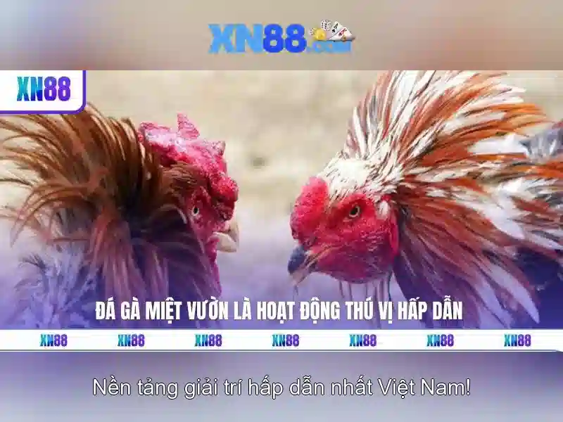 nổ hũ xn88 – trải nghiệm đỉnh cao với xn88 in.net và đăng nhập xn88