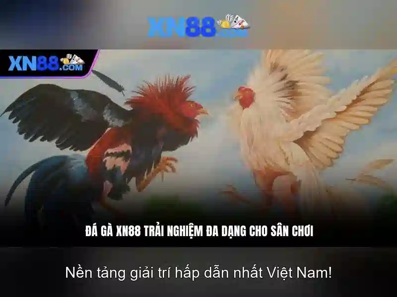 Giới thiệu về xn88 Giới thiệu về xn88