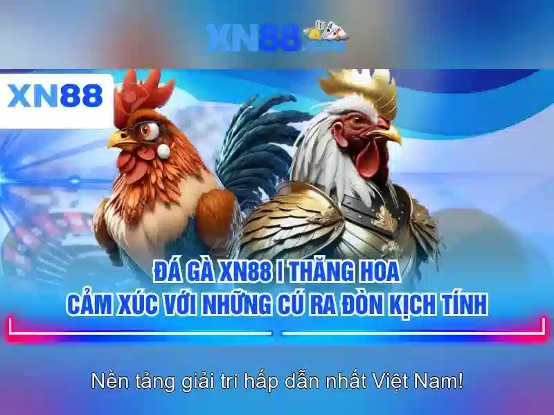 Các sản phẩm và trò chơi Các sản phẩm và trò chơi