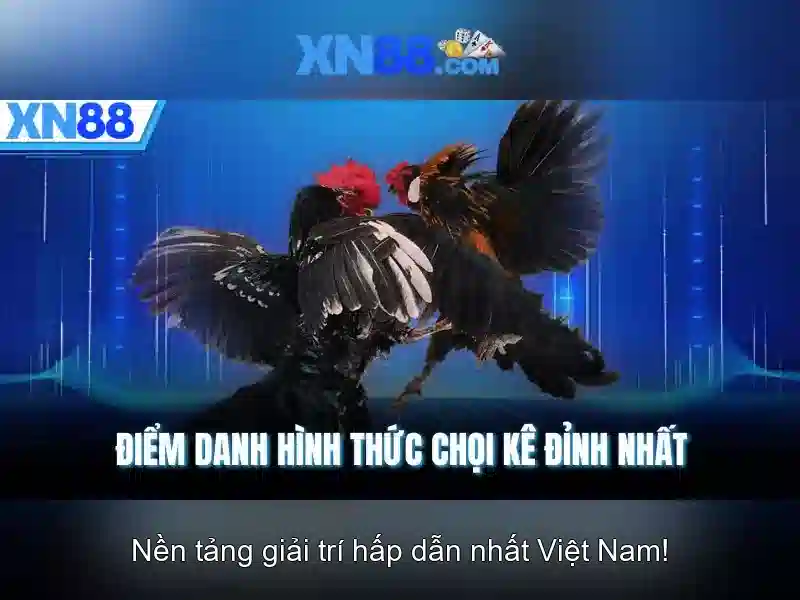 XN88: Tổng quan và các tính năng