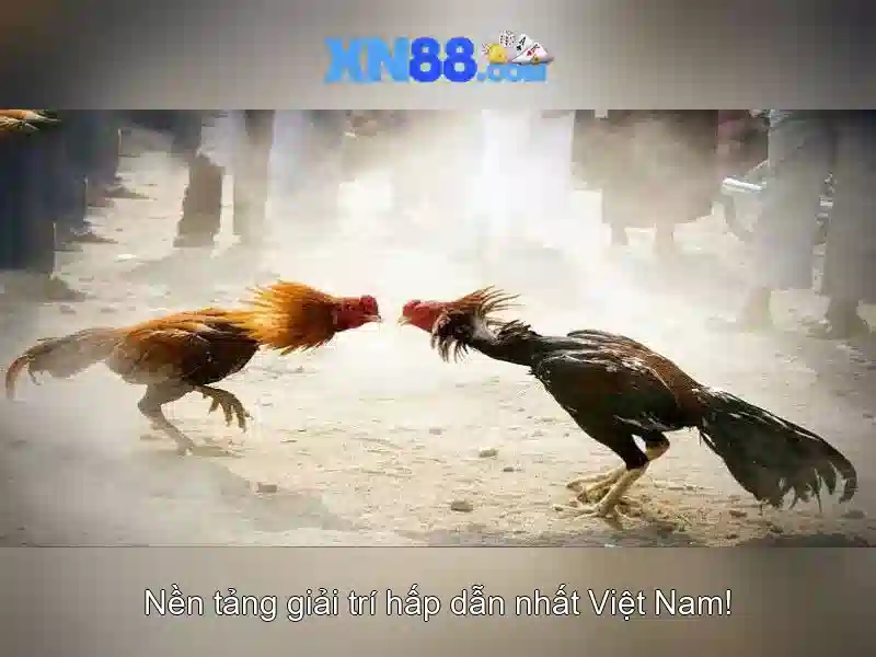 Mẹo chơi bắn cá 3 cây dễ ăn tiền nhà cái