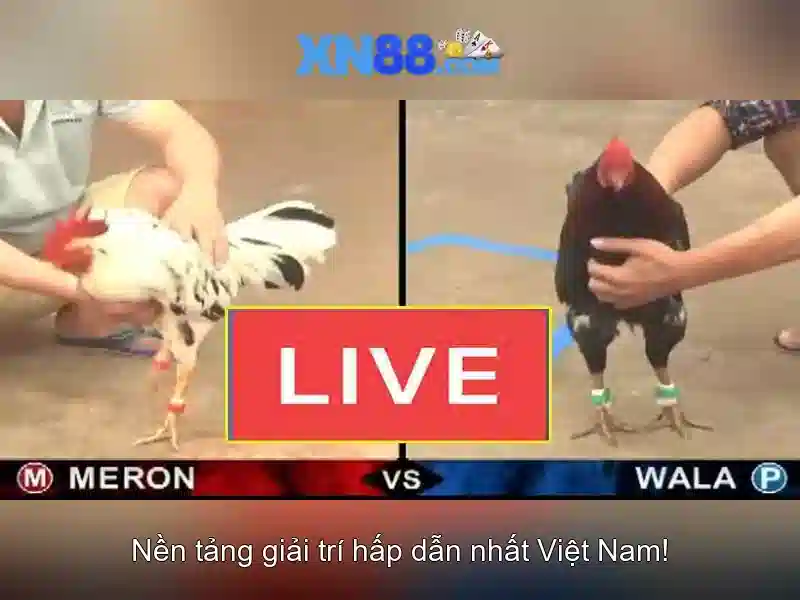 Các sản phẩm và dịch vụ của xn88 Các sản phẩm và dịch vụ của xn88