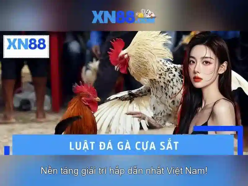 An toàn và bảo mật cho người chơi An toàn và bảo mật cho người chơi