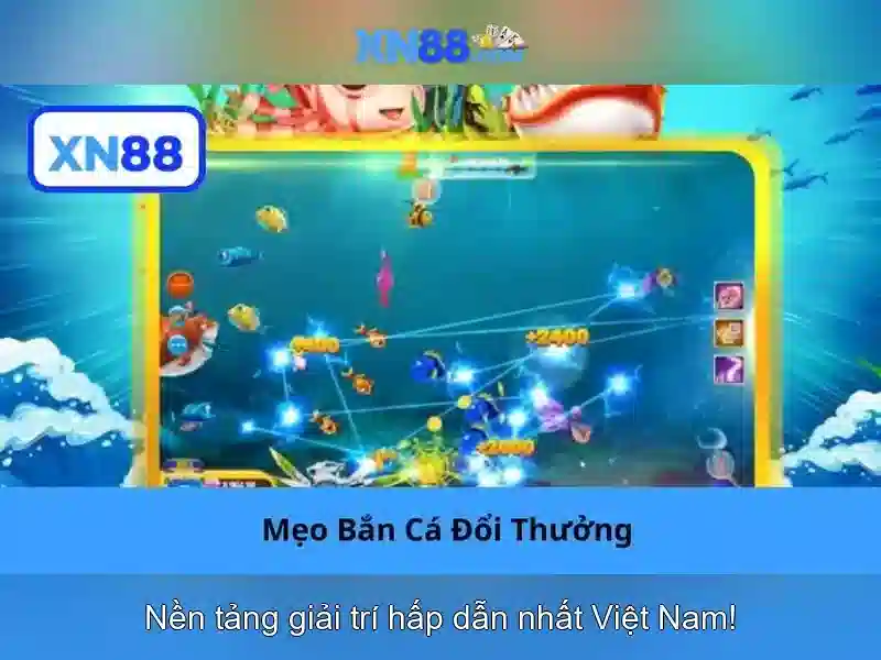 xn88: Tổng quan về nền tảng cược trực tuyến