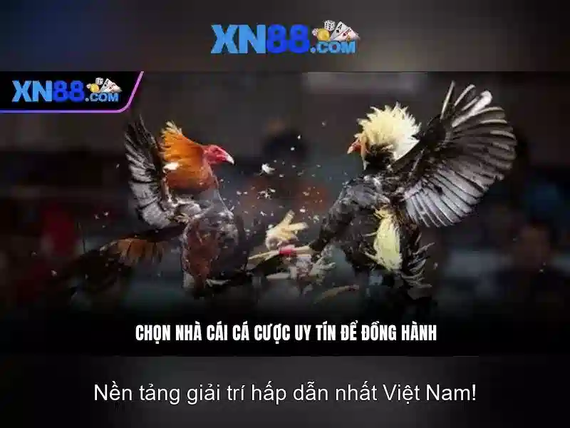 Nguồn gốc và phát triển Nguồn gốc và phát triển