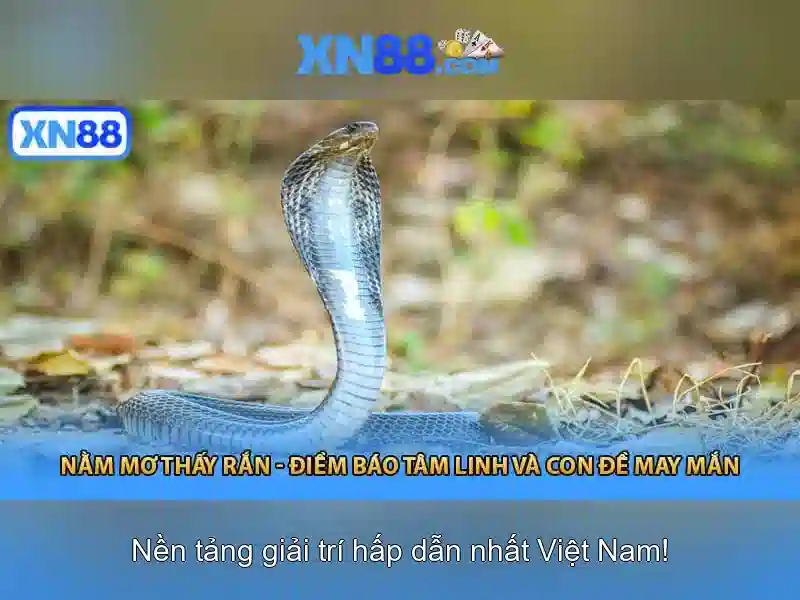 Lịch sử và mục tiêu Lịch sử và mục tiêu