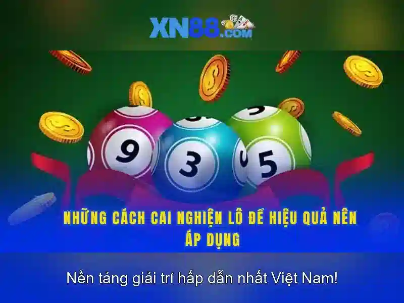 XN88 là gì và cách hoạt động XN88 là gì và cách hoạt động
