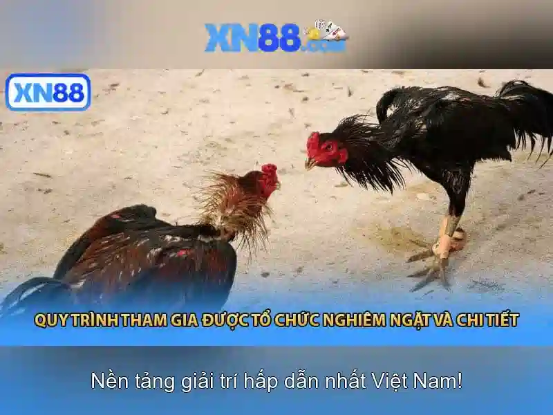 Tại sao chọn xn88? Tại sao chọn xn88?