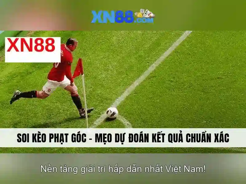 xn88: Tổng quan về nền tảng và các trải nghiệm người dùng