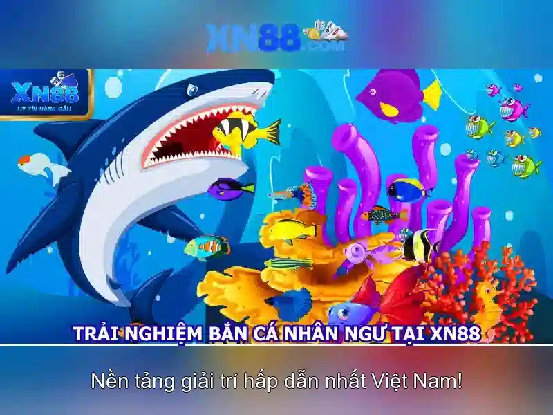 XN88: Giới thiệu về nền tảng cá cược trực tuyến