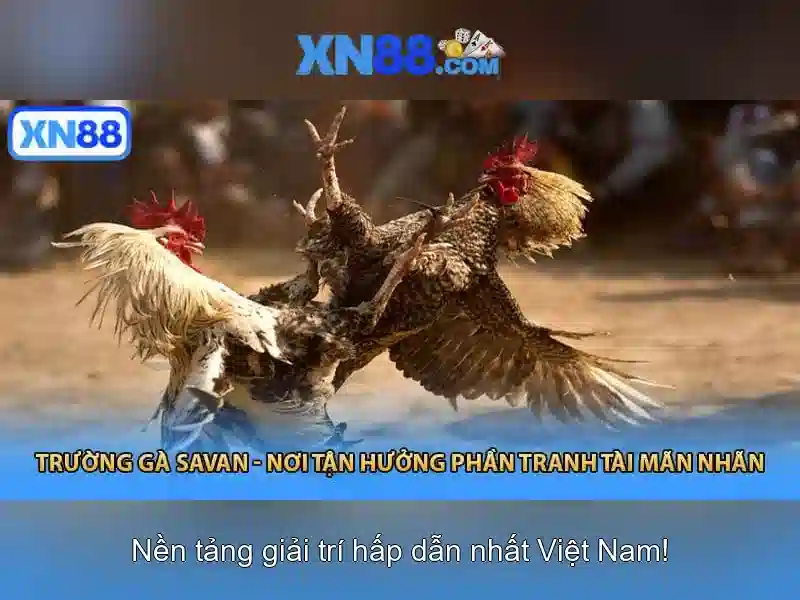 Mẹo chơi bắn cá 3 cây dễ ăn tiền nhà cái