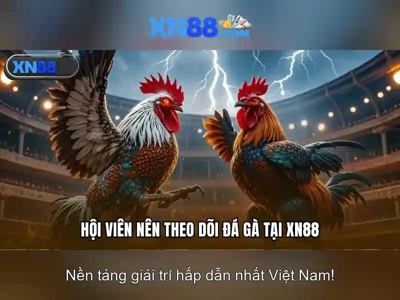 Lợi ích khi tham gia XN88 Lợi ích khi tham gia XN88