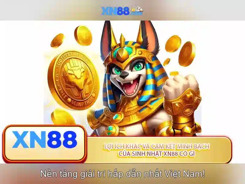 Lịch sử và tầm nhìn của xn88 Lịch sử và tầm nhìn của xn88