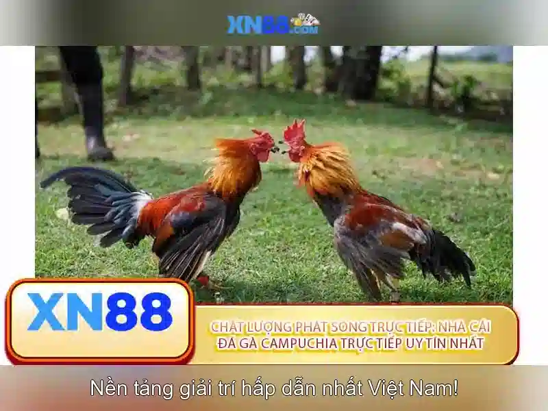 xn88 - Khám phá nền tảng giải trí trực tuyến