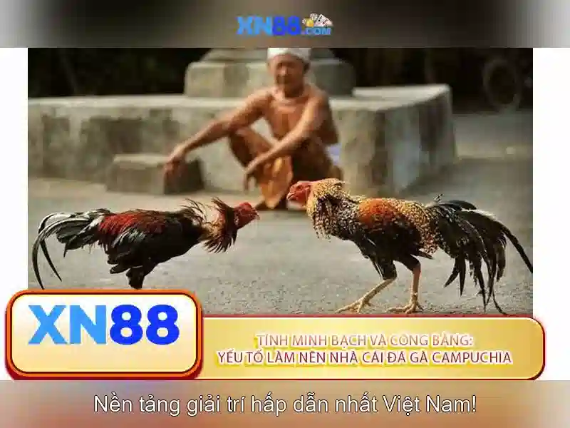 Mẹo chơi bắn cá 3 cây dễ ăn tiền nhà cái