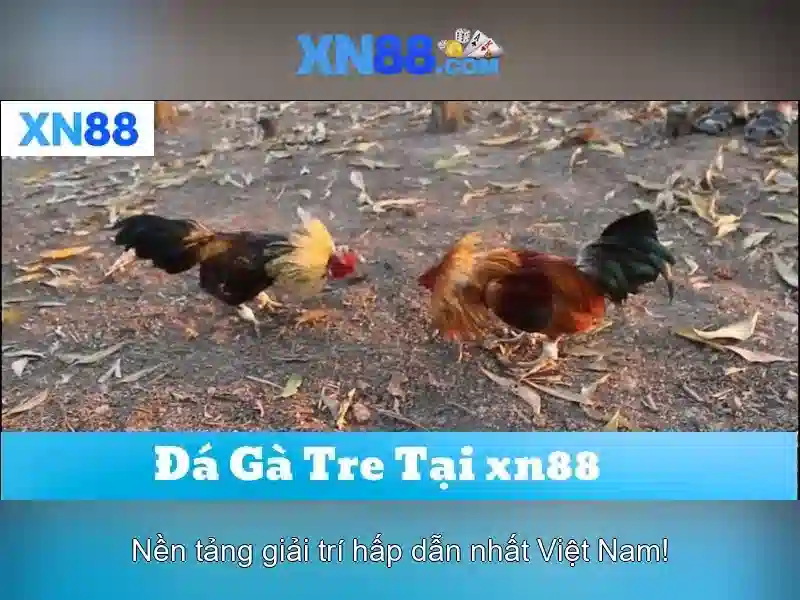 xn88: Tổng quan và ảnh hưởng của nền tảng giải trí trực tuyến